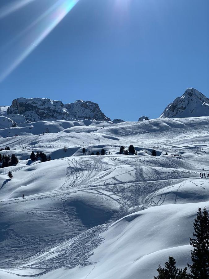 Bel Appartement Ski Aux Pieds Plagne Bellecote ラ・プラーニュ エクステリア 写真