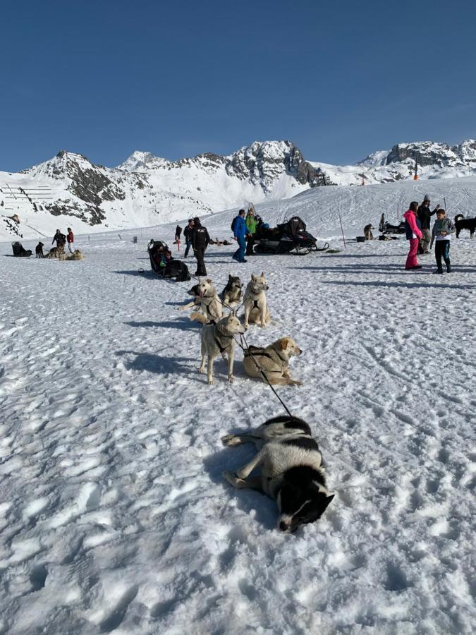 Bel Appartement Ski Aux Pieds Plagne Bellecote ラ・プラーニュ エクステリア 写真